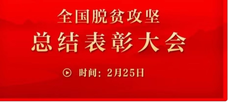 2025澳门原材料网8088
